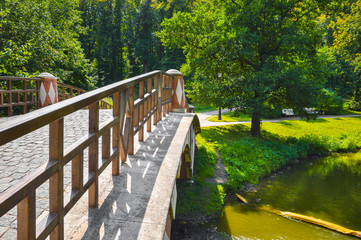 Pedestrian bridge with wooden railings in the forest park