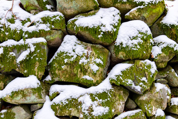 Snow and moss covered rocks