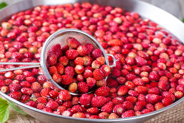 Fresh strawberries in the water in a sieve