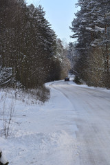 snow-covered road