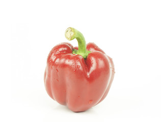 bell pepper, sweet pepper or capsicum isolated on white background
