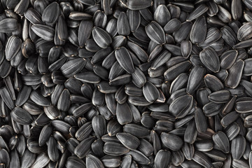Black sunflower seeds. Texture, background.