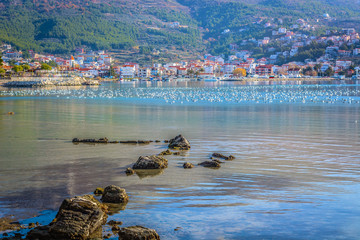 Fototapete bei efototapeten.de bestellen   