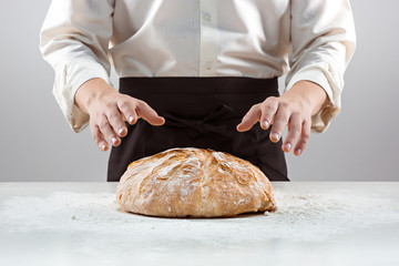 The male hands and rustic organic loaf of bread