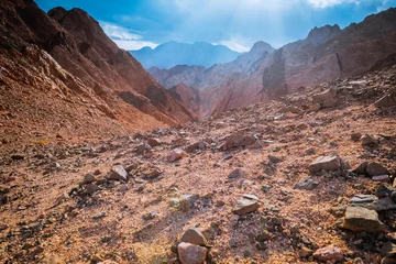 Fotobehang Mountain in Sinai desert Egypt © Kotangens
