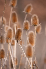 Winter in Czech Republic
