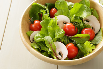 サラダ　Salad