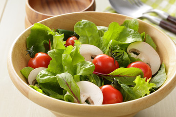 サラダ　Salad
