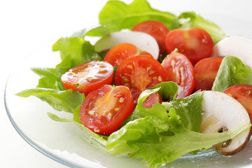 サラダ　Salad