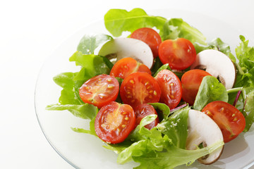 サラダ　Salad