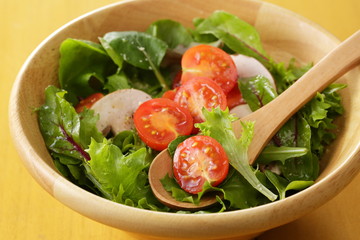 サラダ　Salad