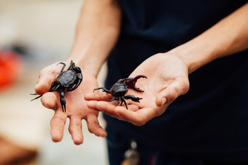 man with crabs