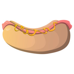 Vector illustrated Hot Dog on white background.