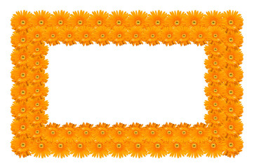 frame made of gerbera flower isolated on white background