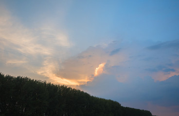 Naklejka premium Picture of the sunset cloudy sky over the green top of the trees. Background of the sunset sky and top of the green trees.