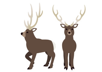 Illustration of a winter deer