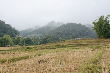 Rice terraces field in Mae Klang Luang , Mae Chaem, Chiang Mai, Thailand