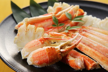 ずわいがに　Snow crab