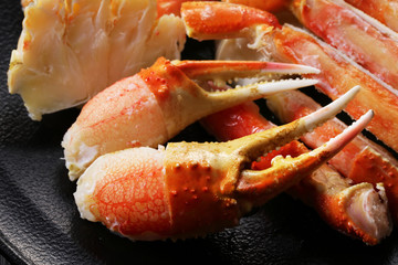 ずわいがに　Snow crab © Nishihama