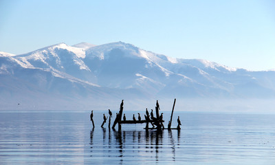 lake prespa in macedonia in winter