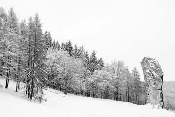 Winter in Ojcow National Park (Poland)