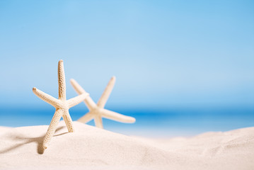white starfish with ocean, on white sand beach, sky and seascape