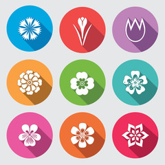 Flower icon set. Camomile, daisy, tulip orchid crocus, saffron cornflower dahlia aster gowan. Floral, herbs symbol. Round colorful flat signs with long shadow. Vector - 132838124