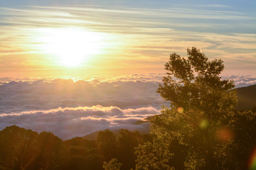 unrise with fog and cloud at Kew Mae Pan ,Doi Inthanon National Park, Thailand.