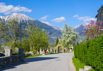 Street in alpine village with blossom trees