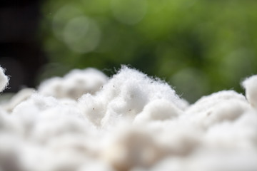 Fototapeta na wymiar silk from silkworm cocoons