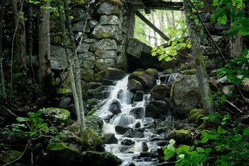 Waterfall flushing from an old rock wall overgrown by nature