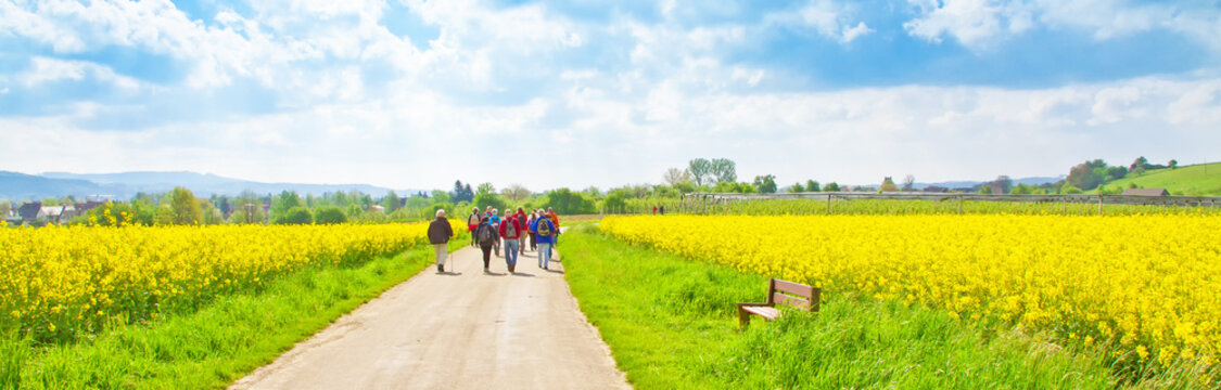 Wanderweg im Fr&uuml;hling