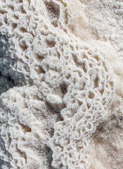 Salt nodules (curtain) on the shores of the Dead sea - Israel