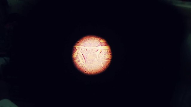 watching the eye of microscope at laboratory