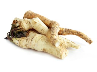 root of horseradish wild plant as spicy vegetable
