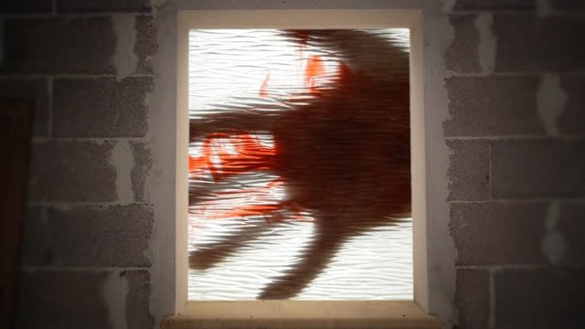 The silhouette of a hand spreading blood on a dirty glass, seen from a bare room. Red liquid close-up shot, white background. Horror, nightmare, surrealism.

