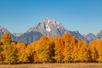 Scenic Fall landscape in Teton National Park