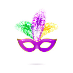 Vector illustration of violet Venetian carnival mask with colorful feathers