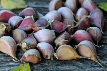 garlic bulbs on old boards