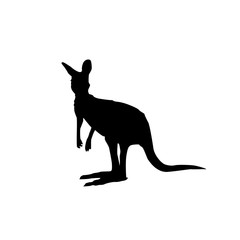 kangaroo icon illustration vector sign symbol