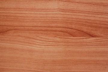 Obraz premium Pattern wood background 