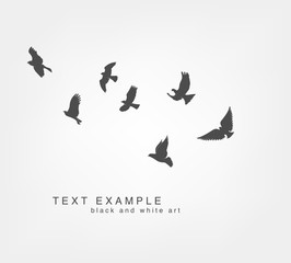 dark figures flying birds