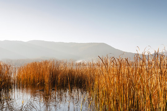Lake banyoles