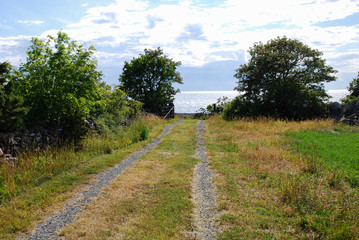 Fototapeta na wymiar Rural tracks to the coast