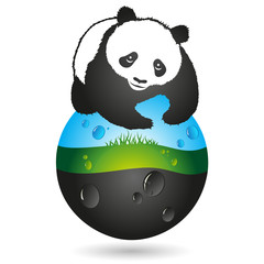 Panda and the earth symbol