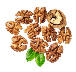 Kernel walnut isolated on the white background