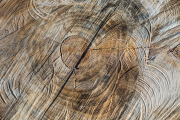 Naklejka premium Wood structure