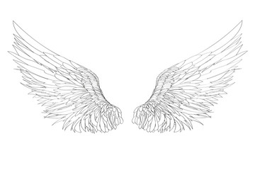 Ilustracja Skrzydła Anioła