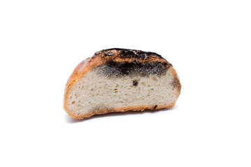 old bread and mold