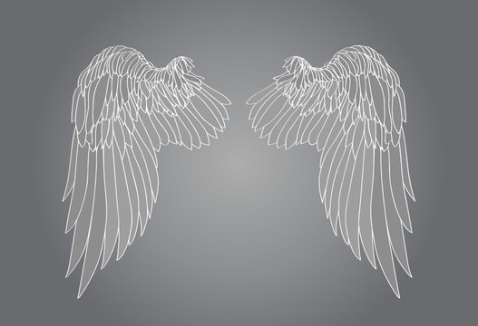 Wings. Vector illustration on white background. Black and white